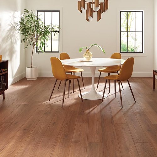 Dining Room Luxury Vinyl Plank LVP -  Gilbert's CarpetsPlus COLORTILE in Big Rapids, MI